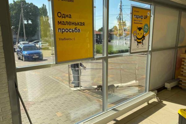 Солнцезащитная тонировка в Воронеже